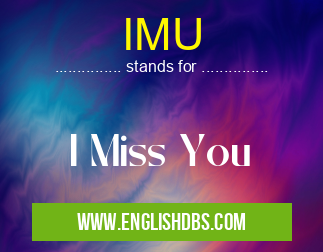 IMU