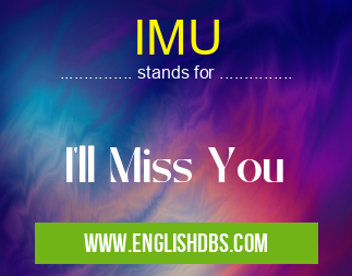 IMU