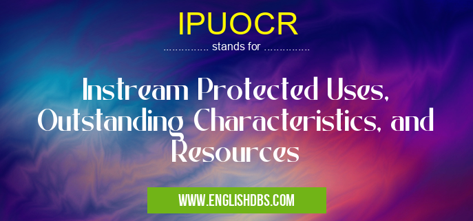 IPUOCR