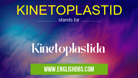 KINETOPLASTID