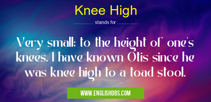 Knee High means Very small; to the height of one's knees. I have known Otis since he was knee high to a toad stool. Knee High