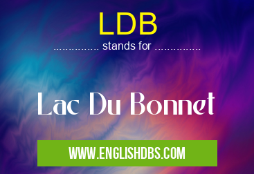 LDB