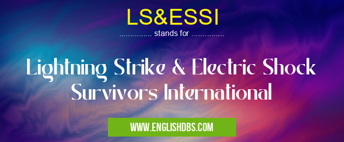 LS&ESSI