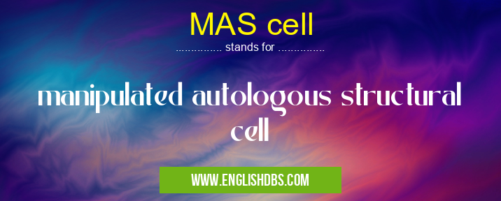 MAS cell