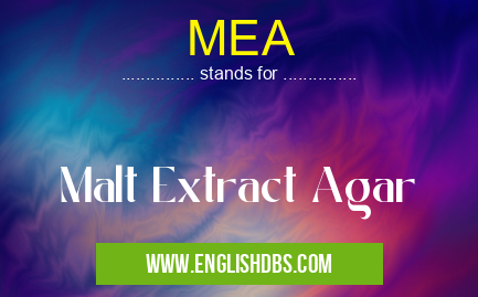 MEA