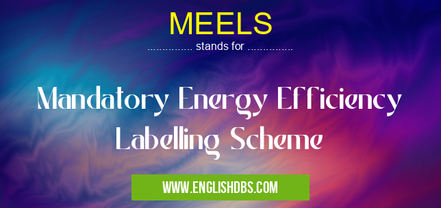 MEELS