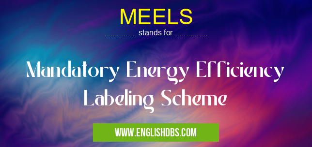 MEELS