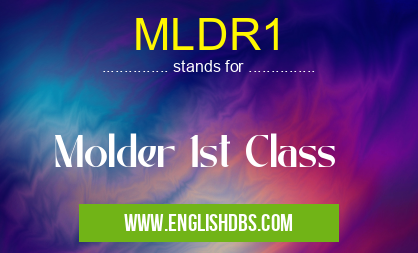 MLDR1