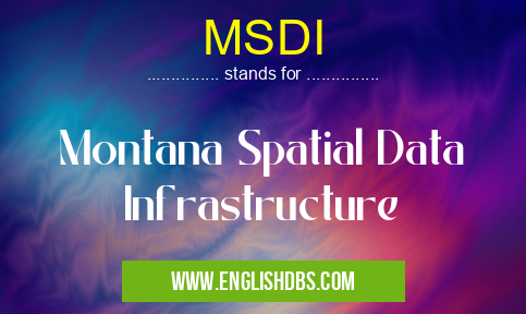 MSDI
