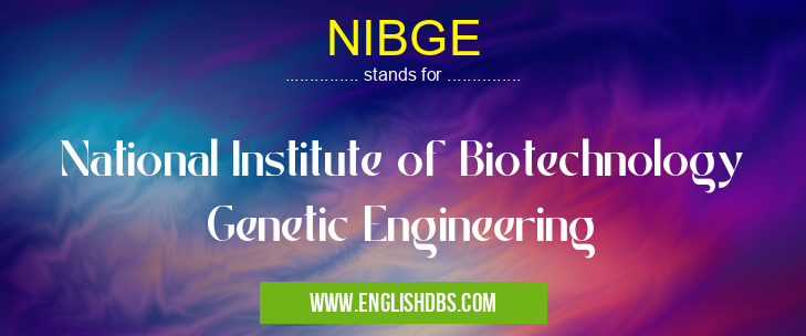 NIBGE