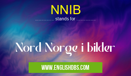 NNIB