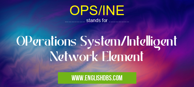 OPS/INE