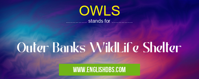 OWLS