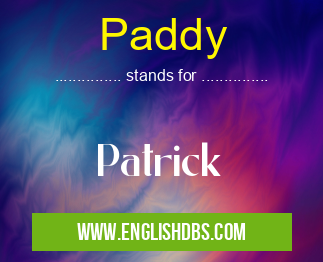 Paddy