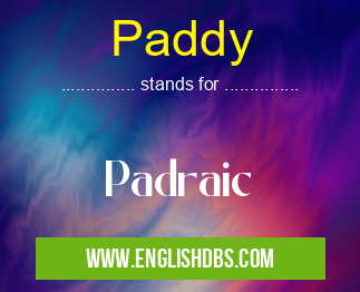 Paddy
