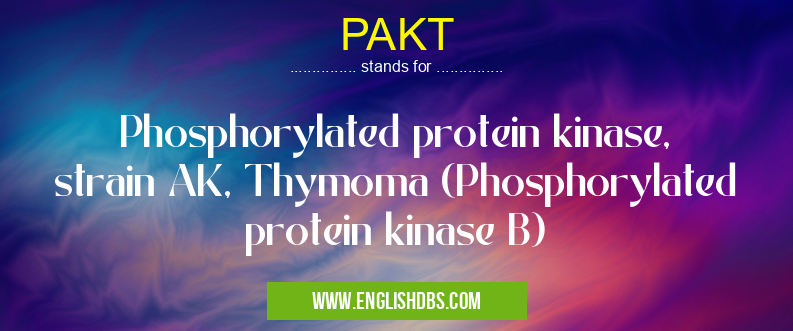 PAKT