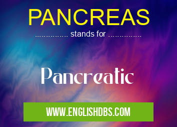 PANCREAS