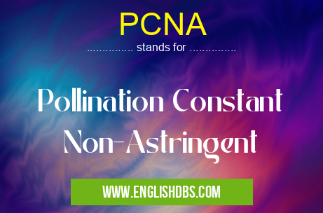 PCNA