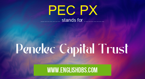 PEC PX