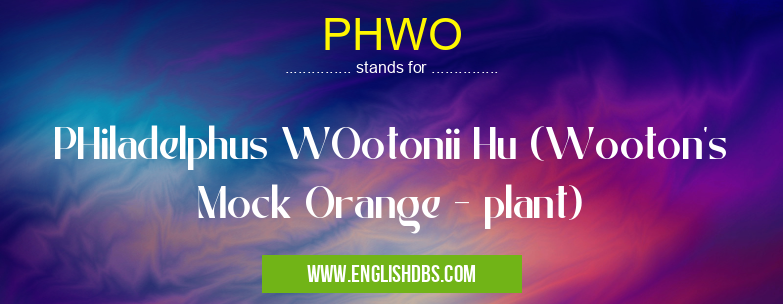 PHWO