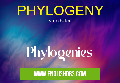 PHYLOGENY