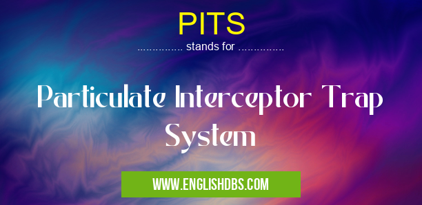 PITS