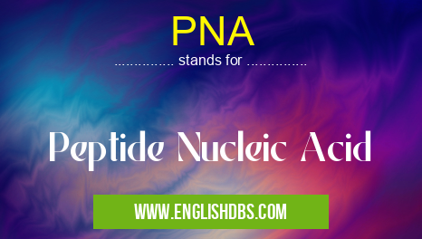 PNA