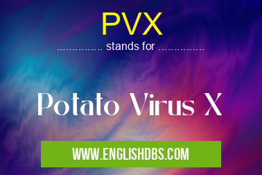 PVX