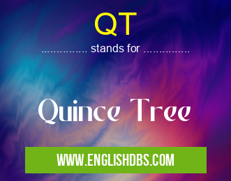 QT