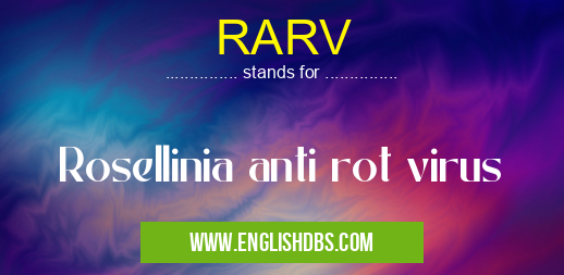 RARV