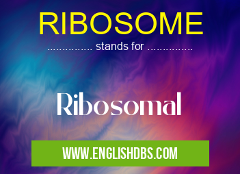 RIBOSOME