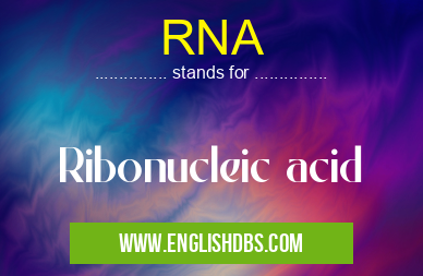 RNA