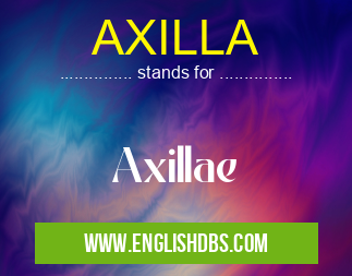 AXILLA