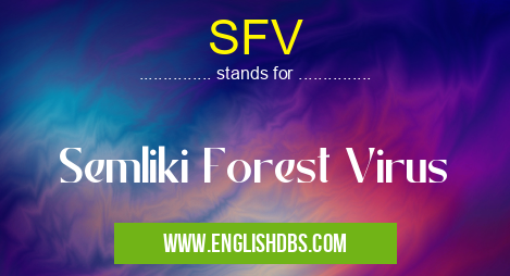 SFV