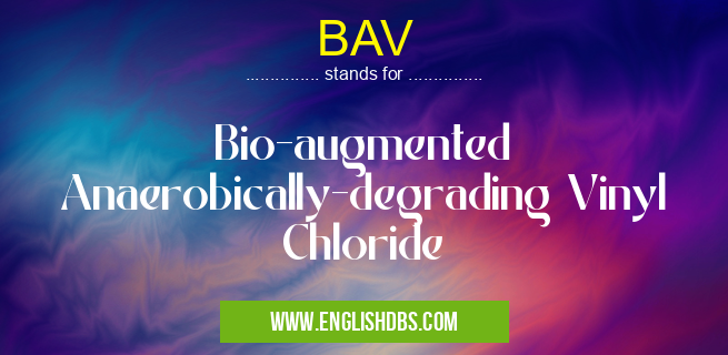 BAV