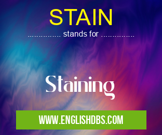 STAIN