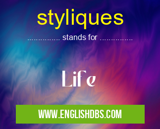 styliques