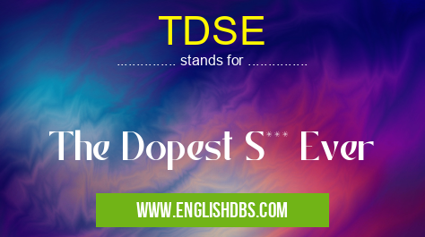 TDSE