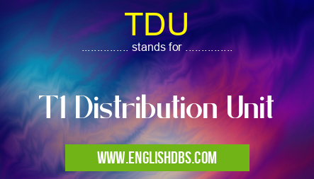 TDU