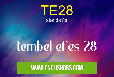 TE28