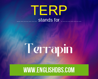 TERP
