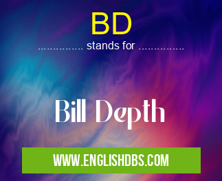 BD