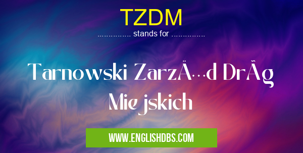 TZDM