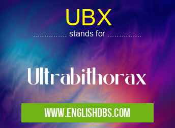 UBX