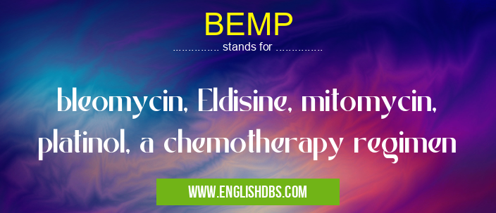 BEMP