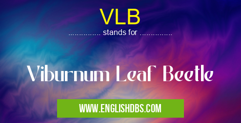 VLB