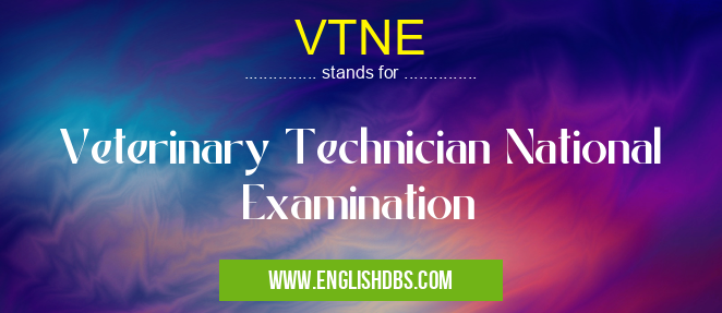 VTNE