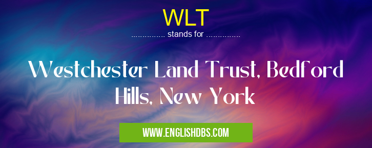 WLT