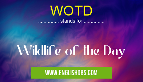 WOTD