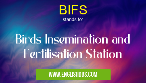 BIFS
